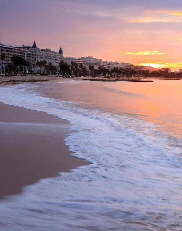 Superbe Studio Proche Palais Et Plages A Pieds Cannes Zewnętrze zdjęcie